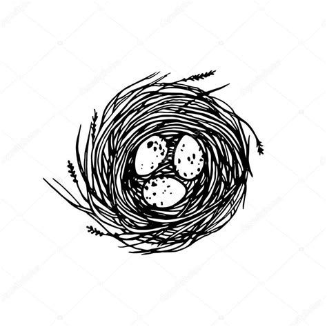 Image Result For Hand Drawn Nest How To Draw Hands Vector