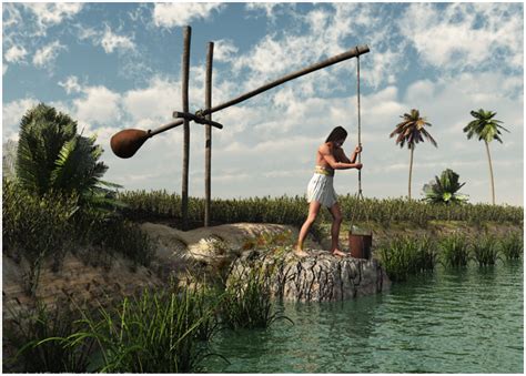 Well, that explains how he got in the water. Water | Free Full-Text | Evolution of Water Lifting ...