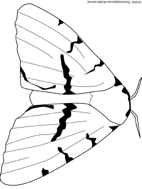 Use these images to quickly print coloring pages. Moth Coloring Page at GetDrawings | Free download