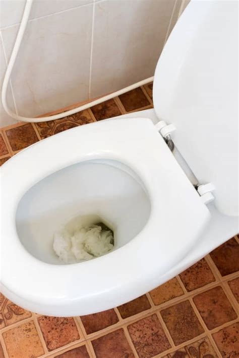 Why Your Toilet Wont Flush Causes And Fix Methods
