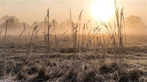 Wallpaper Grass Sunrise Fog Morning Hazy 3840x2160 Uhd 4k Picture