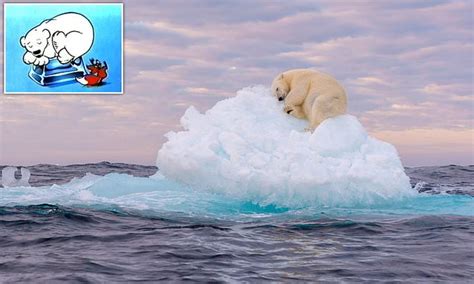 Beautiful Moment Polar Bear Sleeps On An Iceberg Among Winners In