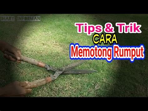 Mesin potong rumput listrik black decker string trimmer. Tips dan Trik Cara Memotong Rumput dengan Cepat - YouTube