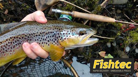 A Lovely Brown Trout Caught By Ceri Thomas On The River
