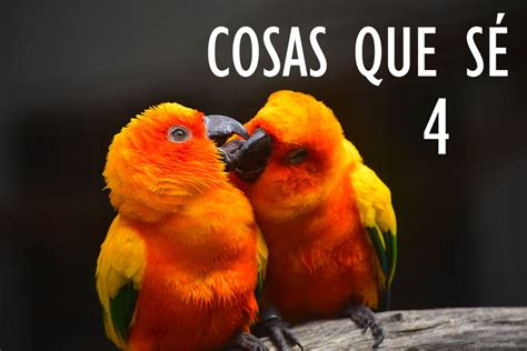 COSAS QUE SÉ - 4 - Es fácil… ¡si sabes cómo!
