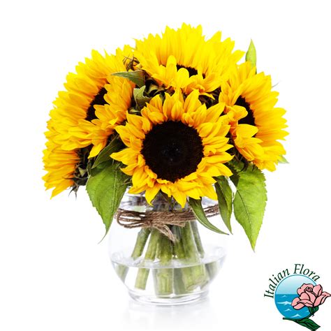 Consegnare fiori e piante per feste di compleanno, frasi sul biglietto di compleanno, regalare fiori per augurare un buon compleanno, mazzi di di narcisi (simbolo di presunzione e boria); Girasoli in vaso