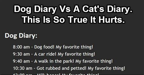 Learn about zayns cats life. Dog Diary Comparison Vs. Cat Diary. Who Said Cats Are Evil ...