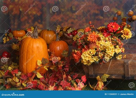 Fall Scene With Pumpkins And Colored Leaves Stock Image Image Of