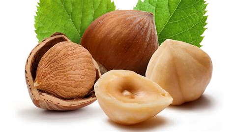 Hazelnuts Nuts Leaves Food Hazelnut Hd Wallpaper Peakpx