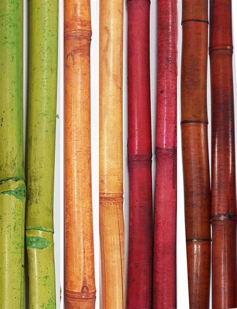 Bamboo Sticks Decor Bamboo Poles Decorative Vase Decor Interior Pots