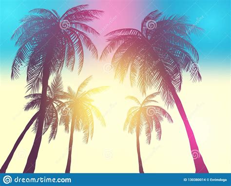 Row Of Tropic Palm Trees Against Sunset Sky. Silhouette Of Tall Palm Trees. Tropic Evening ...