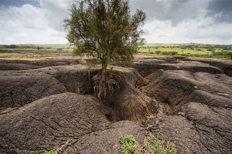 L’ONU appelle à empêcher l'érosion des sols pour protéger notre avenir ...