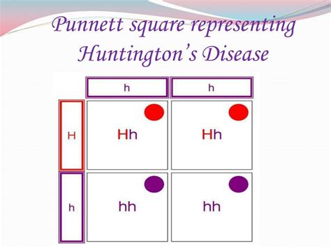 40 Huntingtons Disease Punnett Square
