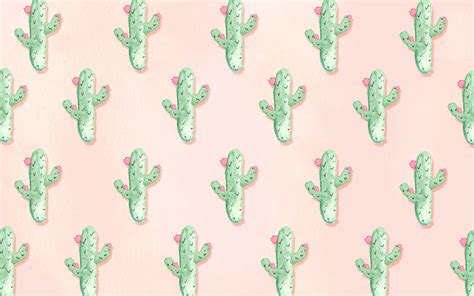 Cute Cactus Desktop Wallpapers Top Free Cute Cactus Desktop