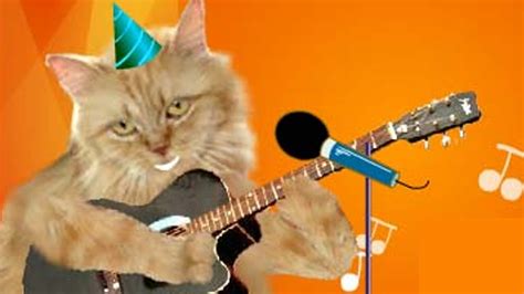 Cute Cats Singing Happy Birthday With Ukulele Youtube