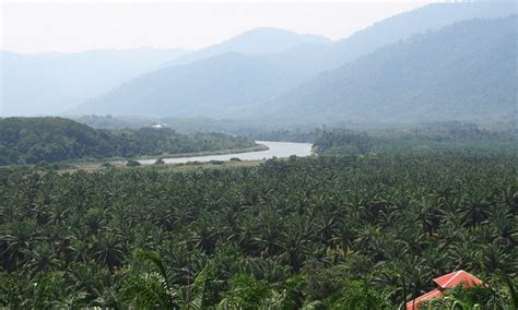 Lenggong is a town in perak, malaysia. Lenggong Valley