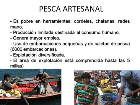 Edúcate Piura Desarrollo Sostenible Actividades Económicas Perú