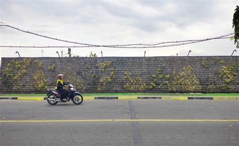 We did not find results for: FOTO: Matinya Tanaman di Vertical Garden, Dekat Pintu ...