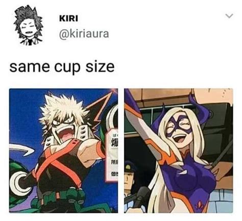 Random Funniest My Hero Academia Memes