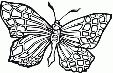 Monarch Butterfly Coloring Page Coloring Home