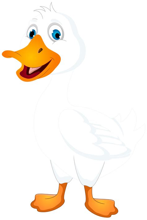 White Duck Cartoon Png Clip Art Duck Clipart Stunning Free The Best