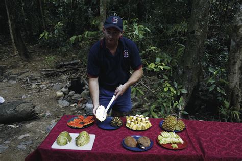 Daintree And Cape Tribulation Ausflüge And Tagestouren In Australien