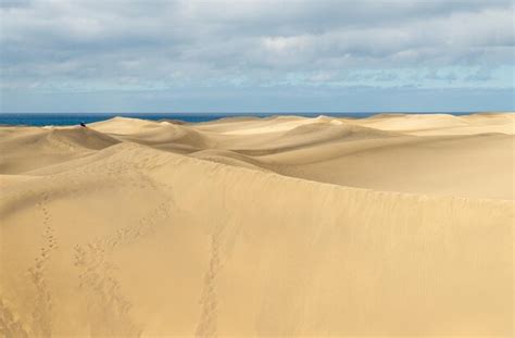 Premium Photo View Of Dunes In Maspalomas Canarias Islands Spain With