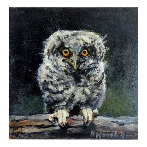 Baby Owl Painting By Brigitte Woosley Chairish