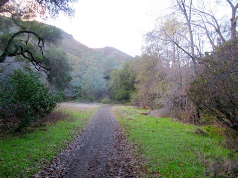 Mount Diablo Hike Via Mitchell Canyon Visitor Center Outdoor Project