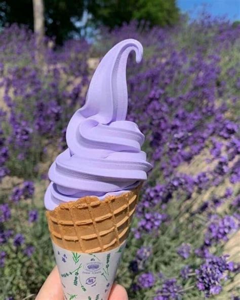Ice Cream Purple Food Cream Aesthetic Purple Aesthetic