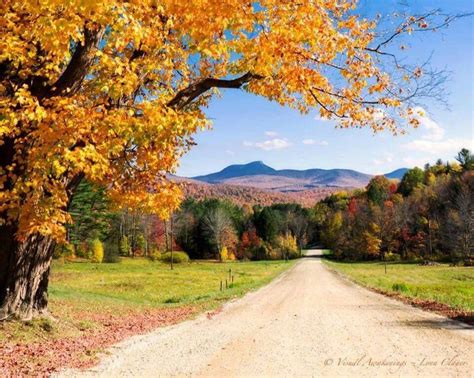 Pin By Becky Tizzano On Vermont Beauty Country Roads Vermont Road