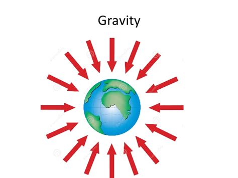 The state or condition of having weight; Gravity mass weight