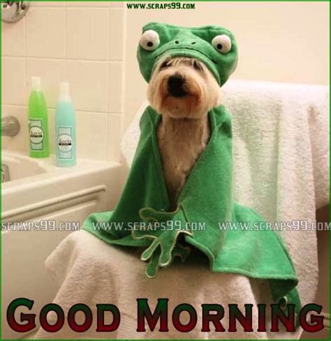 Funny Good Morning Wishes Pictures Images Page 6