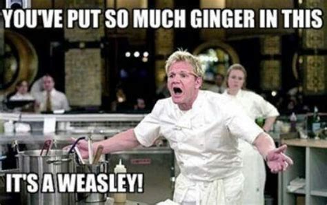 14 Best Hells Kitchen Memes Images On Pinterest Ha Ha Funny Pics
