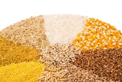 Collection Set Of Cereal Grains Stock Photo Image Of Fiber Macro