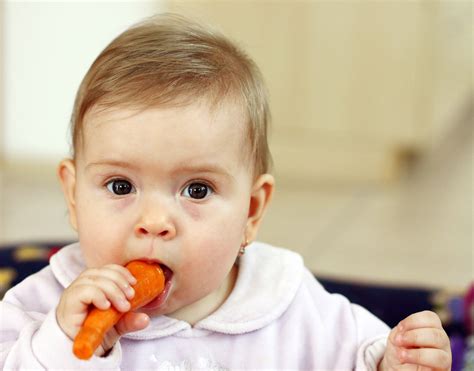 Images Of Babies Eating Images Of Everything