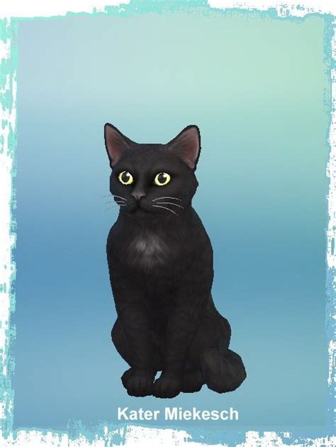 Sims 4 Cat Downloads Sims 4 Updates