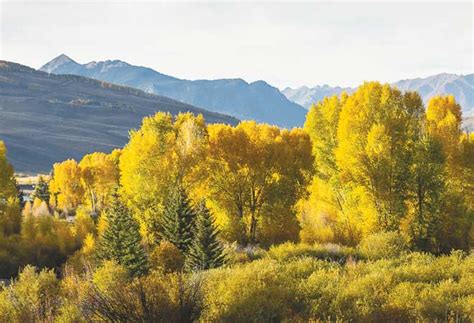 Cdl a reefer driving jobs, cdl a driver jobs dedicated, parking lot attendant winter seasonal, housekeeper winter seasonal, power only seeking cdl a. Transparency - The Crested Butte News