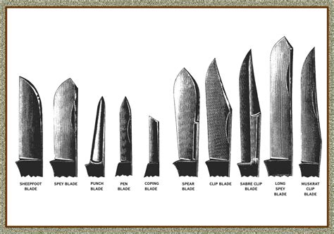 Knife Terminology Great Eastern Cutlery