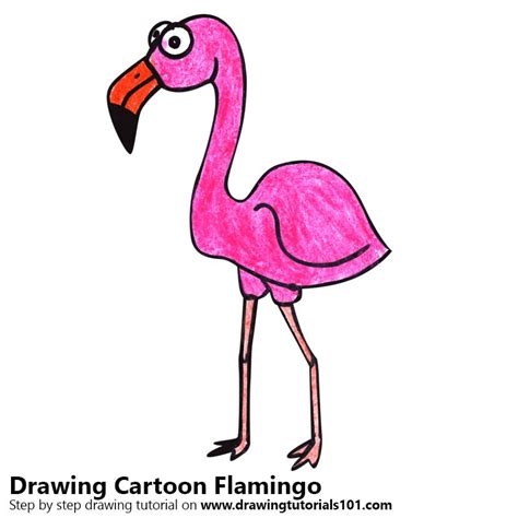 How To Draw A Cartoon Flamingo Cartoon Animals Step By Step