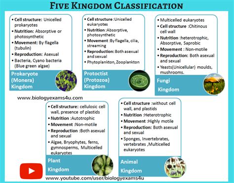 Igcse Biology Notes On Five Kingdom Classification Characteristics