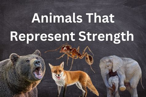 Animals That Represent Strength - SymbolScholar