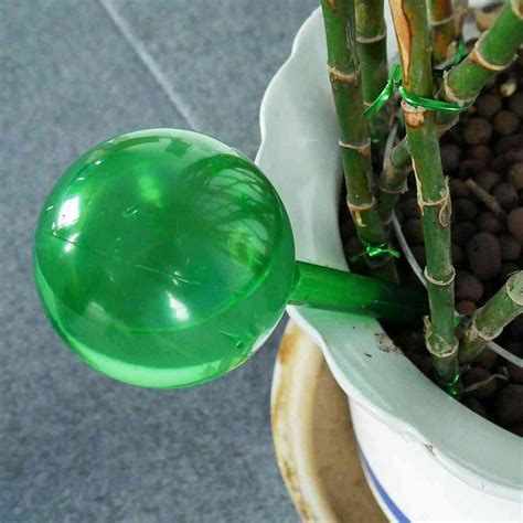 Water Houseplant Pot Bulb Automatic Watering Device Gardening Tools