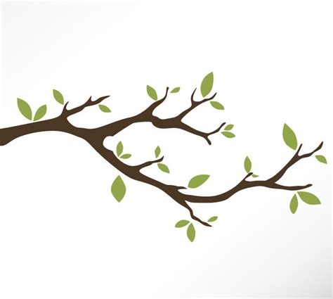 Tree Branch Drawing At Getdrawings Free Download
