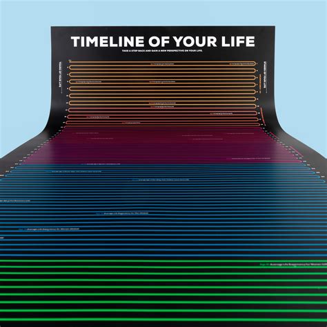 Timeline Of Your Life Infographic Poster In A Nutshell Kurzgesagt