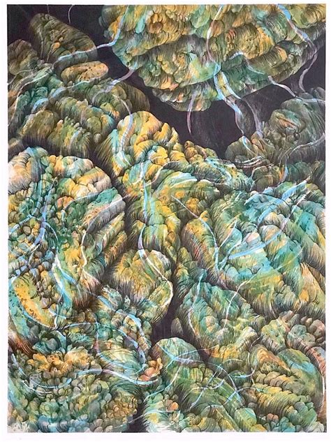 Coral reef 10 coral reef art, coral painting, coral watercolor. Joan Melnick - Coral 27 - Yellow, Original Lithograph ...