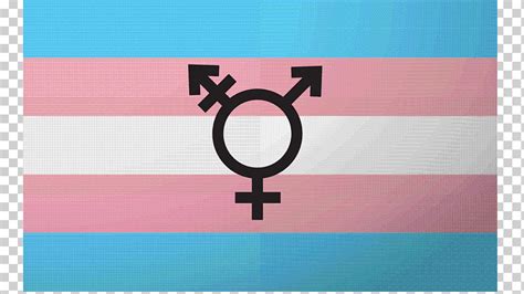 Falta De Identidades De G Nero Transexualidad Polisexualidad