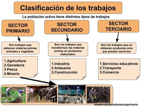 Mapa Conceptual De Los Sectores Economicos Donos