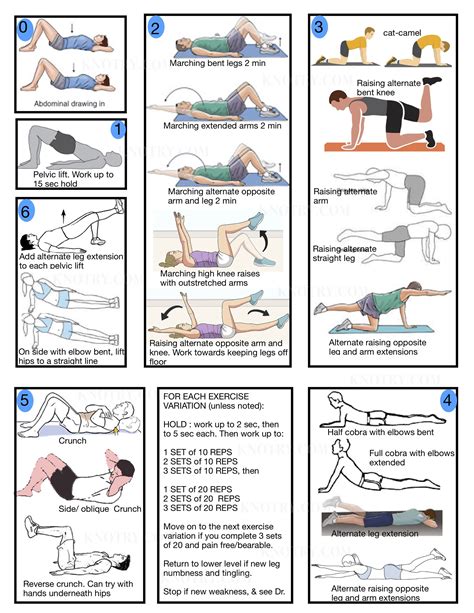 Exercise Plan For Chronic Back Pain Knotry