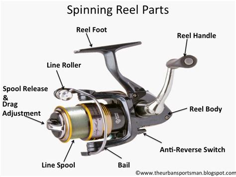Fishing Reel Parts And Schematics